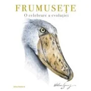 Frumusete. O celebrare a evolutiei - William Spring
