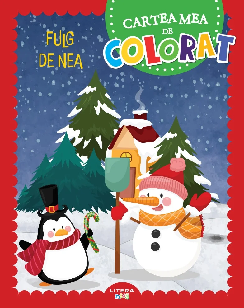 Fulg de nea. Cartea mea de colorat