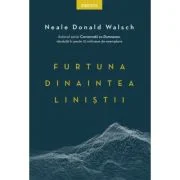Furtuna dinaintea linistii - Neale Donald Walsch