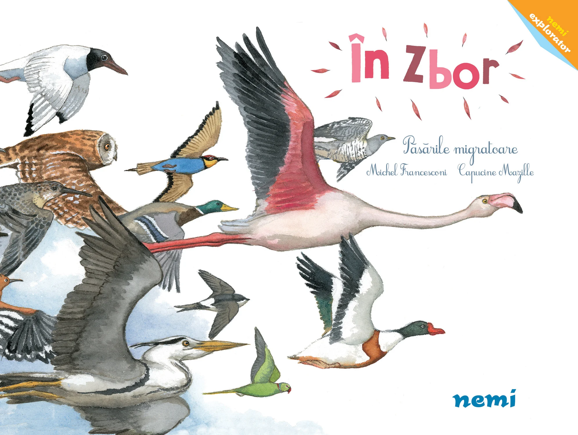 În zbor - Păsările migratoare