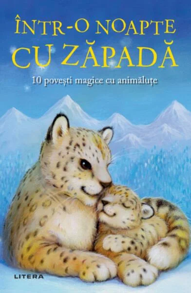 Într-o noapte cu zăpadă - Paperback brosat - Ana Dragomirescu - Litera
