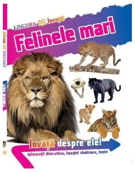 Învață! Felinele mari - Paperback brosat - *** - Linghea