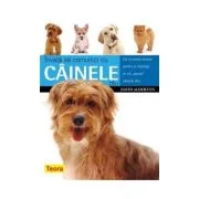 Invata sa comunici cu cainele tau - David Alderton