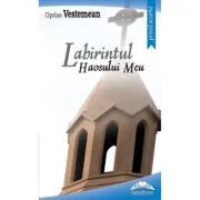Labirintul haosului meu - Ciprian Vestemean