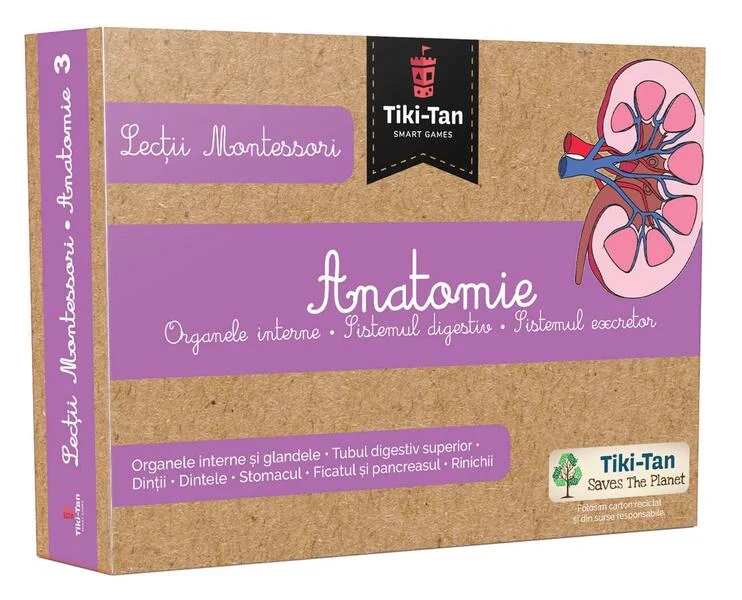 Lecţii de anatomie: Organe interne. Sistemul digestiv. Lecții Montessori - Board book - *** - Gama