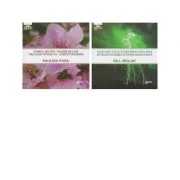 Lumina din noi - Floare de cais. Pe toate fulgerul le gusta doar o data - Paulina Popa, Bill Wolac