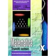 Manual matematica clasa a 10-a trunchi comun - Constantin Nastasescu