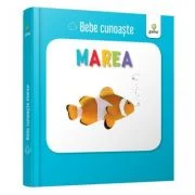 Marea. Bebe Cunoaste