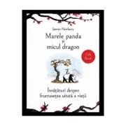 Marele panda si micul dragon - James Norbury