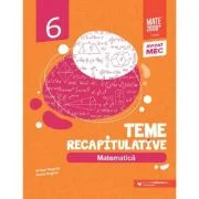 Matematica - Clasa 6 - Teme recapitulative - Maria Negrila, Anton Negrila