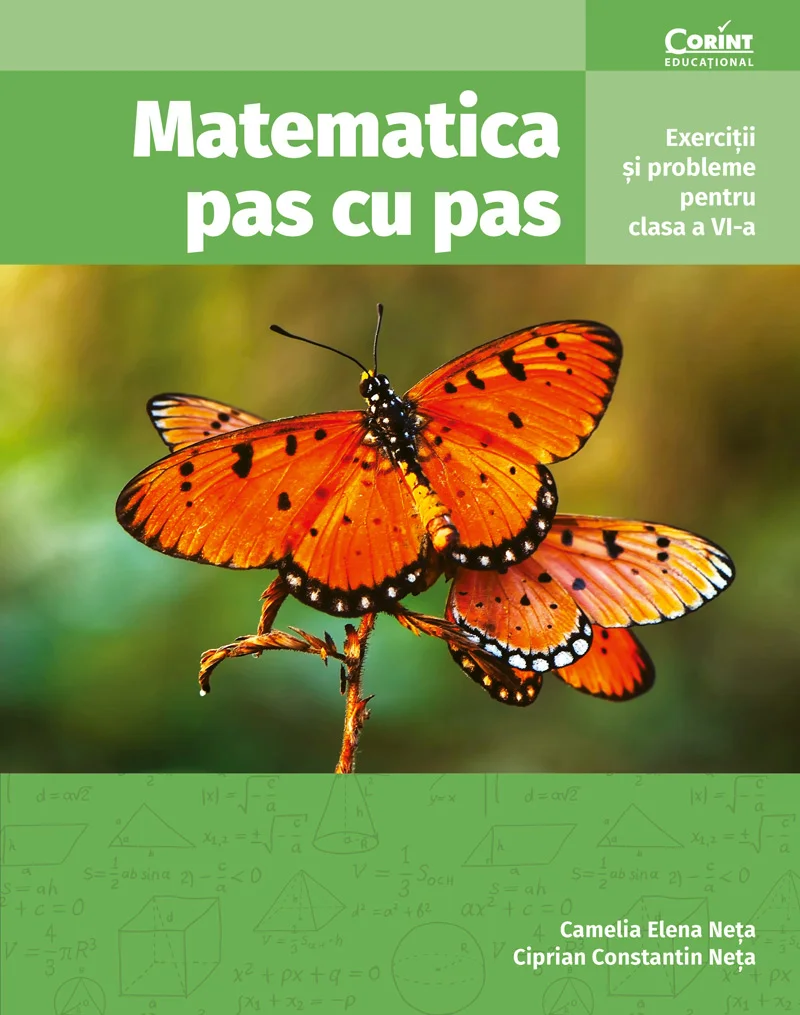 Matematica pas cu pas. Exerciții și probleme pentru clasa a VI-a