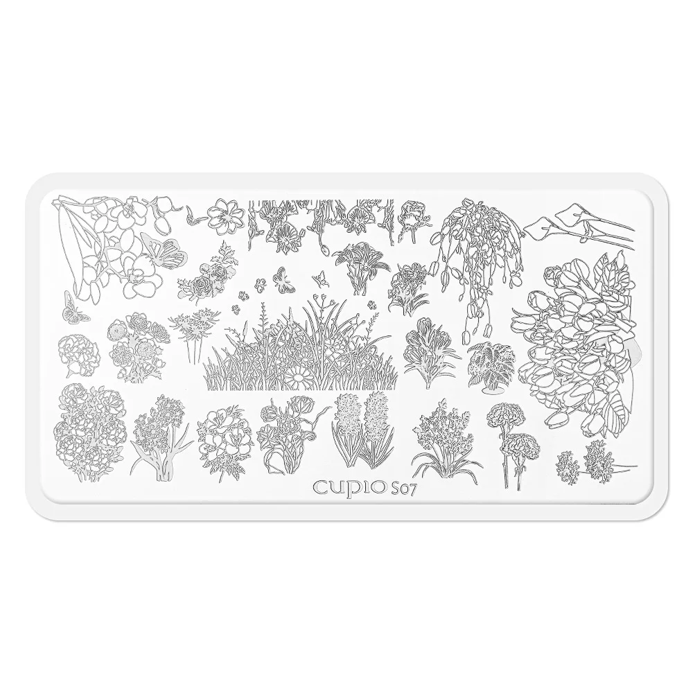 Matrita stampila Cupio S07