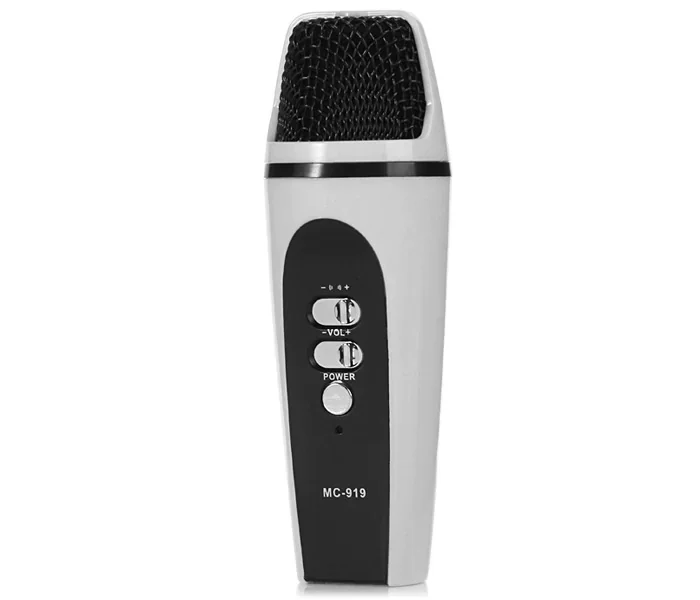 Microfon Mini MC-919 Karaoke  cu Fir USB