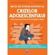 Micul dictionar ilustrat al crizelor adolescentului - Anne-Claire Kleindienst