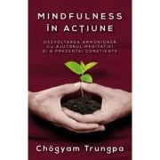 Mindfulness in actiune. Dezvoltarea armonioasa cu ajutorul meditatiei si a prezentei constiente - Chogyam Trungpa