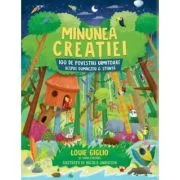 Minunea creatiei - Louie Giglio