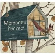 Momentul perfect - Sabine Rahm