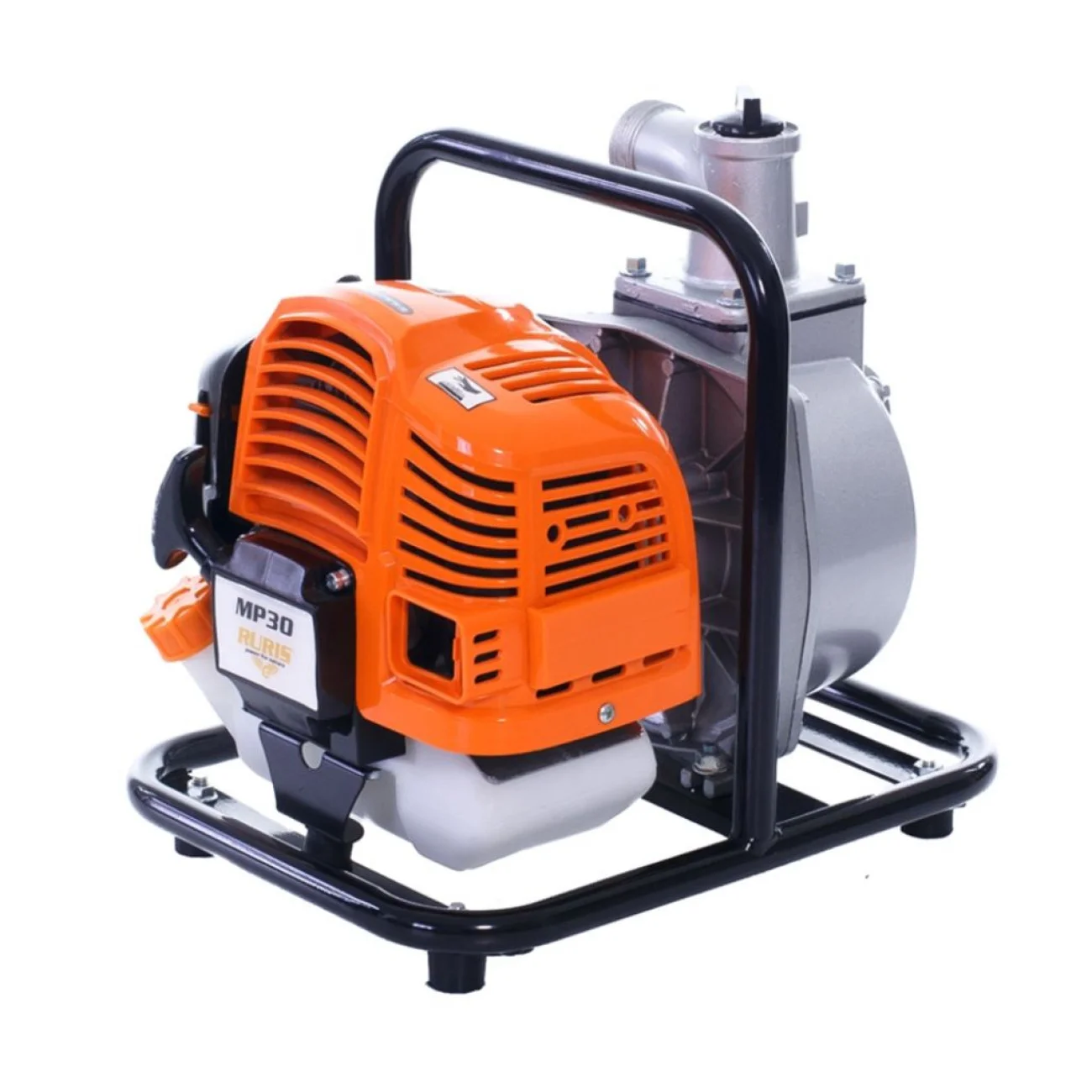 Motopompa Apa de Irigat Ruris MP30, 1.7 CP, 15 m3/h, H Refulare 14 m