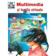 Multimedia si lumile virtuale