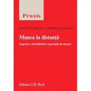 Munca la distanta. Expresie a flexibilizarii raportului de munca - Ana-Maria Vlasceanu, Madalina Ani Iordache