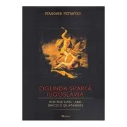 Oglinda sparta Iugoslavia. Efectele Cain-Abel dincolo de aparente - Stanomir Petrovici