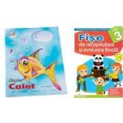 Pachet Caiet Pestisor dictando A5, 48 file, Casa Tipografica si Fise de recapitulare si evaluare finala Clasa 3 - Nicoleta Popescu