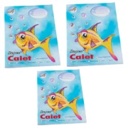 Pachet Caiete A5 pentru clasa a 2-a dictando-matematica-tip 2