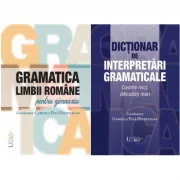 Pachet Gramatica limbii romane si Dictionar de interpretari gramaticale - Gabriela Pana Dindelegan (coord.)