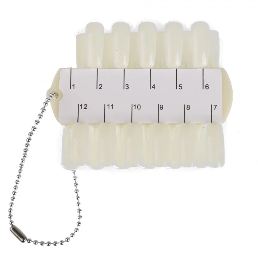 PALETAR EXPUNERE CULORI CU BRATARA 24 POZITII - M24POZ - Everin.ro