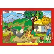 Pasari de curte. Gaina, Curca, Rata, Gasca - Eleonora Negru