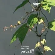 Petala - Alexandru Andries