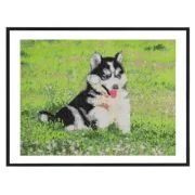 Pictura diamant Creative Craft, model caine, 40x50 cm