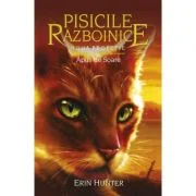 Pisicile Razboinice. Noua profetie. Cartea 12. Apus de Soare - Erin Hunter