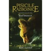 Pisicile Razboinice. Puterea celor trei. Cartea 14. Raul intunecat - Erin Hunter