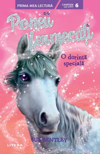 Poneii fermecati. O dorinta speciala (Nivelul 6)