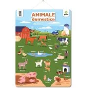 Poster Animale domestice