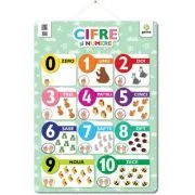 Poster Cifre si numere