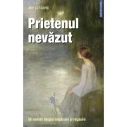Prietenul nevazut. Un roman despre impacare si regasire - Amy Le Feuvre