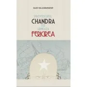 Profesorul Chandra isi urmeaza fericirea - Rajeev Balasubramanyam