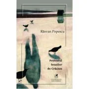 Protestul brazilor de Craciun - Rasvan Popescu