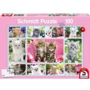 Puzzle 100 piese, Pisoiasi, Schmidt