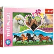 Puzzle frumosii cai 200 de piese, Trefl