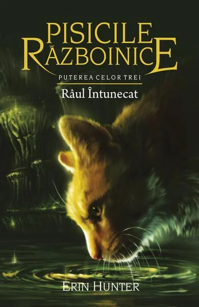 Râul întunecat (Vol.14) - Paperback brosat - Erin Hunter - Galaxia Copiilor