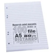 Rezerva caiet mecanic dictando A5, 100 file, Casa Tipografica