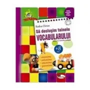 Sa deslusim tainele vocabularului - Rodica Chiran