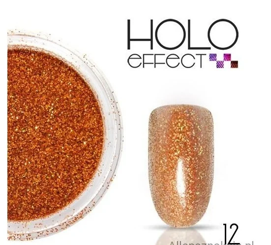 SCLIPICI HOLOGRAPHIC- 12 - HE-12 - Everin.ro