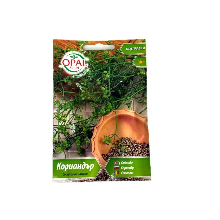 Seminte coriandru 5 gr, OpalZi Bulgaria