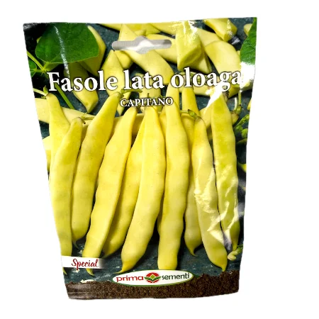 Seminte fasole de gradina galbena, lata, oloaga Capitano 50 gr, Prima Sementi