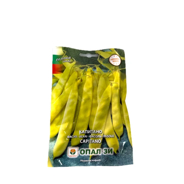Seminte fasole de gradina galbena, lata, oloaga Capitano 80 gr, OpalZi Bulgaria