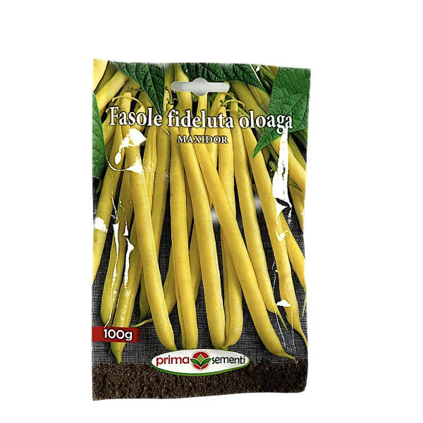Seminte fasole fideluta oloaga galbena Maxidor 100 gr, Prima Sementi